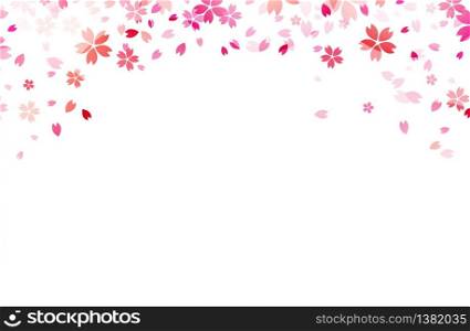 Pink Sakura flowers isolated on white background.Japan cherry blossoms clip art lovely wallpaper.