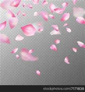 Pink sakura petals. Realistic pink falling cherry petals, spring blossom tree. Romantic floral decoration japanese elements vector blossoming flower abstract background. Pink sakura petals. Realistic pink falling cherry petals, spring blossom tree. Romantic floral decoration japanese elements vector background