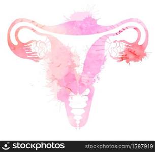 Pink silhouette anatomical uterus with watercolor splashes. Healthy female body. Woman power. Uterus with tube and ovaries. Vector illustration for articles, banners, icon, logo and your design.. Pink silhouette anatomical uterus with watercolor splashes. Healthy female body. Woman power. Uterus with tube and ovaries. Vector illustration