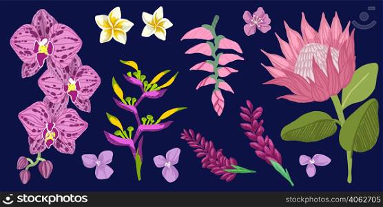 Pink Tropical flowers collection, hand drawn vector illustrations