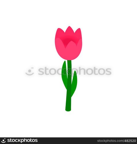 Pink tulip isometric 3d icon on a white background. Pink tulip isometric 3d icon