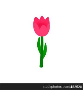 Pink tulip isometric 3d icon on a white background. Pink tulip isometric 3d icon