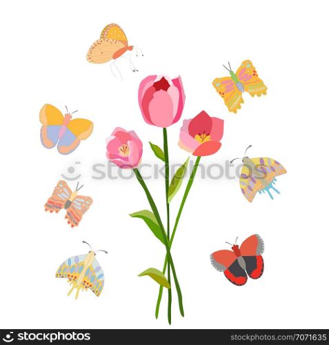 Pink tulip on white background with butterflies. Spring floral background. Vector illustration. . Spring floral illustration with butterflies.