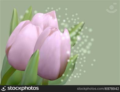 pinnk tulips with leaves on green background