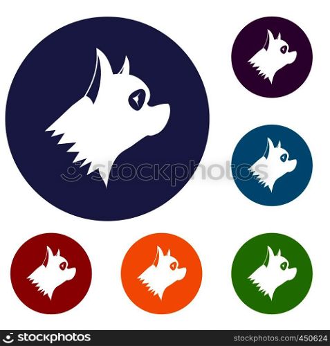 Pinscher dog icons set in flat circle reb, blue and green color for web. Pinscher dog icons set