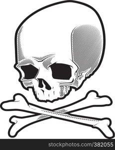 Pirate skull with crossbones