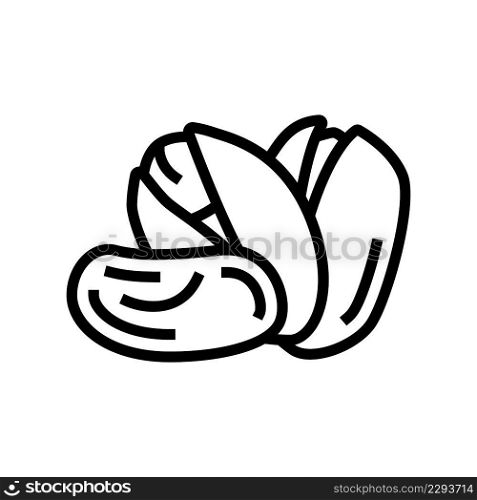 pistachio nut line icon vector. pistachio nut sign. isolated contour symbol black illustration. pistachio nut line icon vector illustration