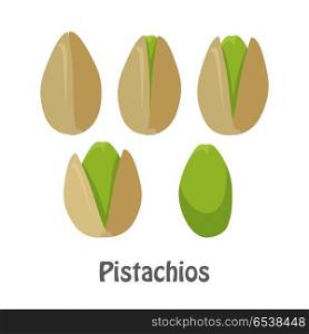 Pistachio Nuts and Pistachio Kernels. Pistachio nuts and pistachio kernels. Set of pistachios nuts. Ripe pistachios nuts in flat. Several pistachio nuts, close up. Healthy vegetarian food. Isolated vector illustration on white background.