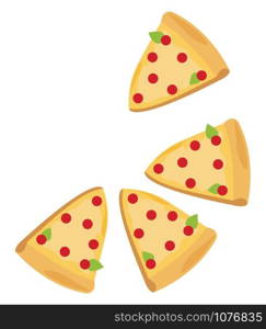 Pizza, illustration, vector on white background.