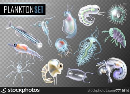 Plankton transparent set of daphnia&hipod krill copepod phytoplankton underwater inhabitants isolated vector illustration. Plankton Transparent Set