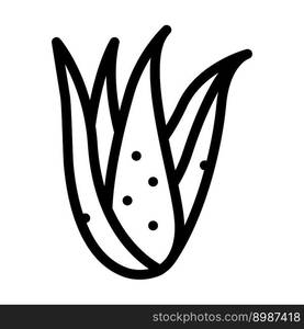 plant aloe vera line icon vector. plant aloe vera sign. isolated contour symbol black illustration. plant aloe vera line icon vector illustration