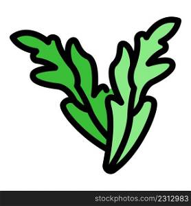 Plant arugula icon. Outline plant arugula vector icon color flat isolated. Plant arugula icon color outline vector