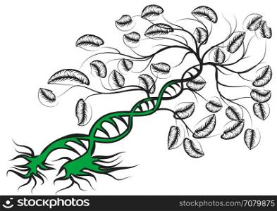 plant as DNA isolated on white background