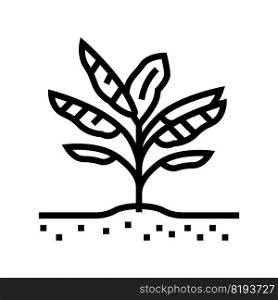 plant banana line icon vector. plant banana sign. isolated contour symbol black illustration. plant banana line icon vector illustration