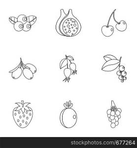 Plant berries icon set. Outline set of 9 plant berries vector icons for web isolated on white background. Plant berries icon set, outline style