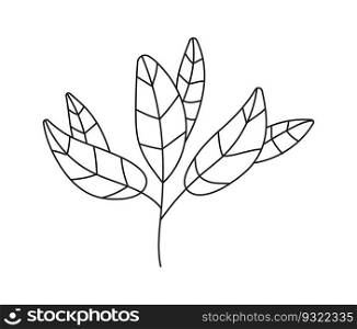 Plant branch, leaf doodle vector. Vintage hand drawn tree branches with leaves and flowers. Tree branches with leaf and flowers. Botanical line contemporary elements.. Plant branch, leaf doodle vector. Vintage hand drawn tree branches with leaves and flowers