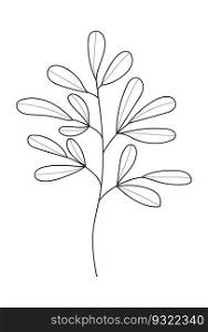 Plant branch, leaf doodle vector. Vintage hand drawn tree branches with leaves and flowers. Tree branches with leaf and flowers. Botanical line contemporary elements.. Plant branch, leaf doodle vector. Vintage hand drawn tree branches with leaves and flowers.