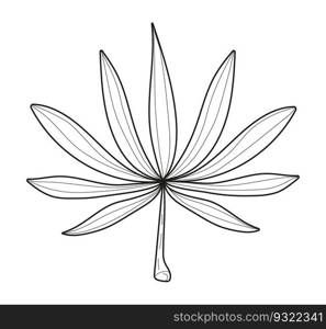 Plant branch, leaf doodle vector. Vintage hand drawn tree branches with leaves and flowers. Tree branches with leaf and flowers. Botanical line contemporary elements.. Plant branch, leaf doodle vector. Vintage hand drawn tree branches with leaves and flowers.