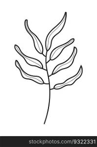 Plant branch line, leaf doodle vector. Vintage hand drawn tree branches with leaves and flowers. Tree branches with leaf and flowers. Botanical line contemporary elements.. Plant branch line, leaf doodle vector. Vintage hand drawn tree branches with leaves and flowers.