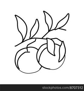 plant branch nectarine line icon vector. plant branch nectarine sign. isolated contour symbol black illustration. plant branch nectarine line icon vector illustration