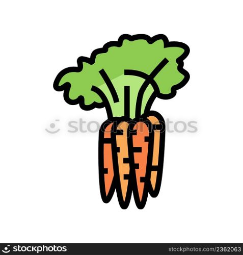 plant carrot color icon vector. plant carrot sign. isolated symbol illustration. plant carrot color icon vector illustration