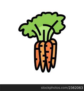 plant carrot color icon vector. plant carrot sign. isolated symbol illustration. plant carrot color icon vector illustration