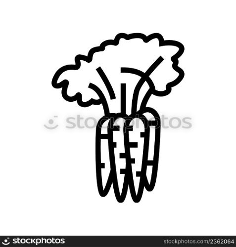 plant carrot line icon vector. plant carrot sign. isolated contour symbol black illustration. plant carrot line icon vector illustration
