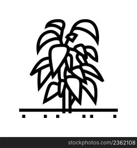plant chili pepper line icon vector. plant chili pepper sign. isolated contour symbol black illustration. plant chili pepper line icon vector illustration