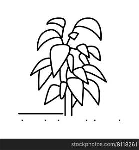 plant chili pepper line icon vector. plant chili pepper sign. isolated contour symbol black illustration. plant chili pepper line icon vector illustration