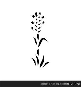 plant green wheat glyph icon vector. plant green wheat sign. isolated symbol illustration. plant green wheat glyph icon vector illustration