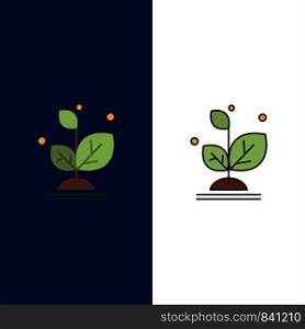 Plant, Grow, Growth, Success Icons. Flat and Line Filled Icon Set Vector Blue Background