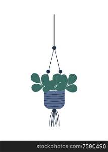 Plant growing in hanging pot botanical decoration for home. Floral decor leaves, houseplant vector, green wide foliage, isolated potted evergreen flowering. Plant Growing in Hanging Pot Botanical Decoration