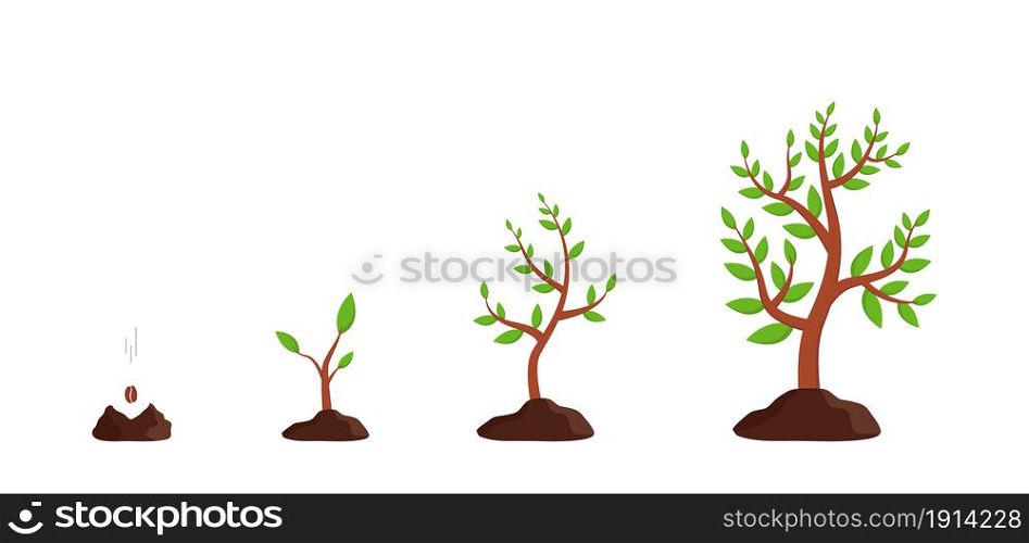 Plant growth from seed to tree. Sprout grow in soil. Icon of process germination of sapling. Seedling in ground. Agriculture cycle for farm. Progress of growing of plants with phase, timeline. Vector.. Plant growth from seed to tree. Sprout grow in soil. Icon of process germination of sapling. Seedling in ground. Agriculture cycle for farm. Progress of growing of plants with phase, timeline. Vector