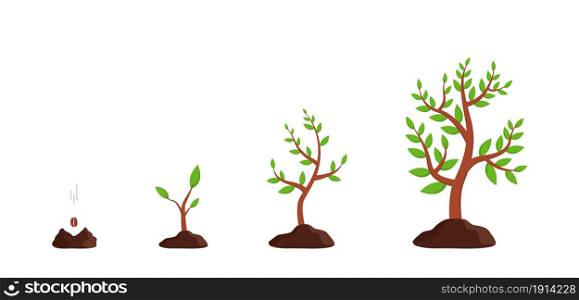 Plant growth from seed to tree. Sprout grow in soil. Icon of process germination of sapling. Seedling in ground. Agriculture cycle for farm. Progress of growing of plants with phase, timeline. Vector.. Plant growth from seed to tree. Sprout grow in soil. Icon of process germination of sapling. Seedling in ground. Agriculture cycle for farm. Progress of growing of plants with phase, timeline. Vector