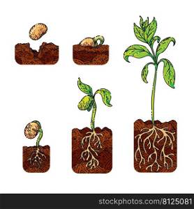 plant gtowth set sketch hand drawn vector tree sprout, seed soil, small leaf vintage color line illustration. plant gtowth sketch hand drawn vector