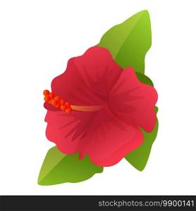 Plant hibiscus icon. Cartoon of plant hibiscus vector icon for web design isolated on white background. Plant hibiscus icon, cartoon style
