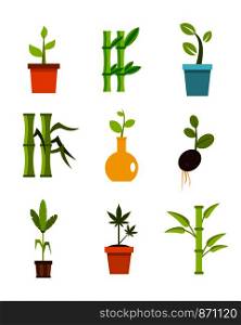 Plant icon set. Flat set of plant vector icons for web design isolated on white background. Plant icon set, flat style