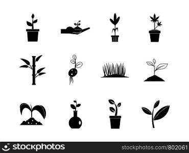 Plant icon set. Simple set of plant vector icons for web design isolated on white background. Plant icon set, simple style