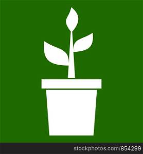 Plant in clay pot icon white isolated on green background. Vector illustration. Plant in clay pot icon green