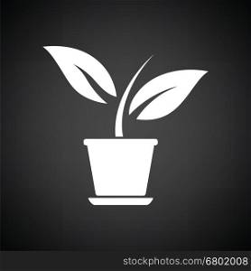 Plant in flower pot icon. Black background with white. Vector illustration.