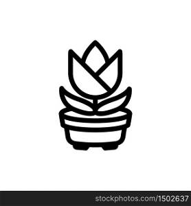 plant in flower pot icon, line art design