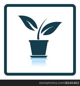 Plant in flower pot icon. Shadow reflection design. Vector illustration.