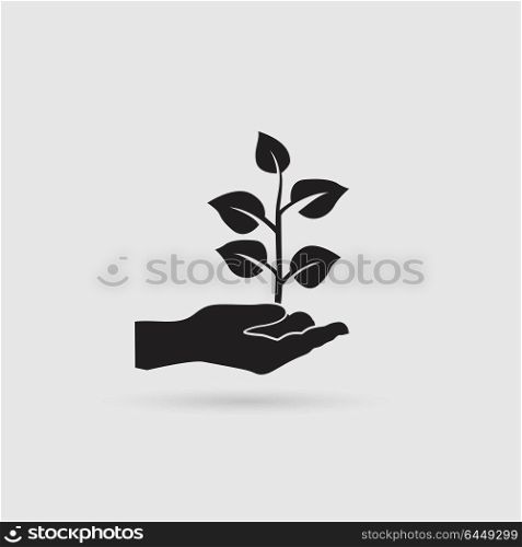 Plant in hand. Vector icon.