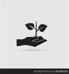 Plant in hand. Vector icon.