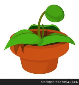 Plant in pot icon. Cartoon illustration of plant in pot vector icon for web. Plant in pot icon, cartoon style
