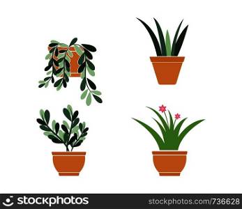 plant in pot illustration vector template design