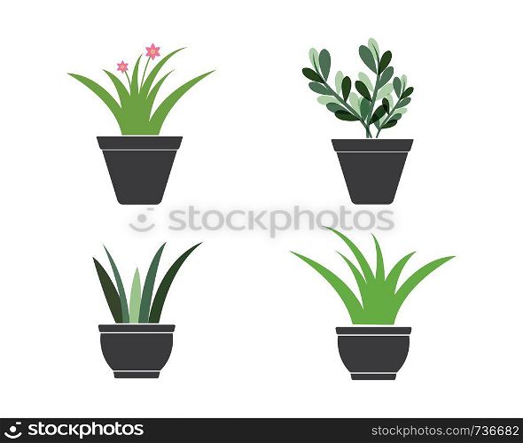 plant in pot illustration vector template design