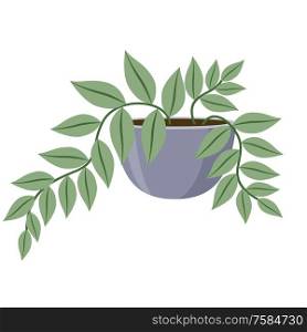 Plant in pot on white background. Vector illustration
