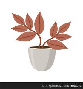 Plant in pot on white background. Vector illustration