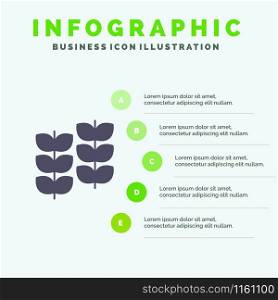 Plant, Leaf, Plant, Growth Solid Icon Infographics 5 Steps Presentation Background